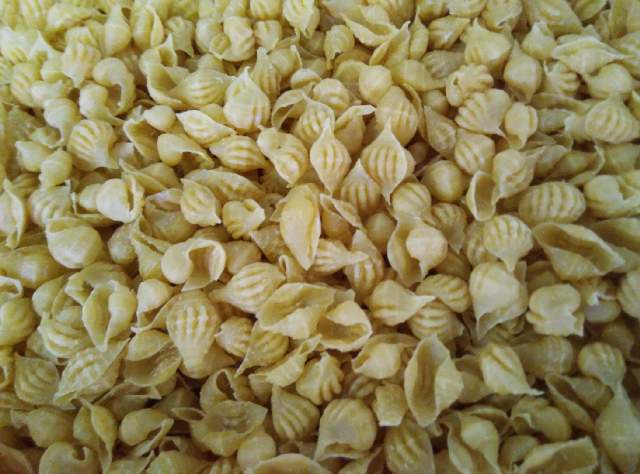 Peluang Usaha Makaroni kerang mentah